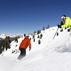 Bellamonte-Alpe Lusia