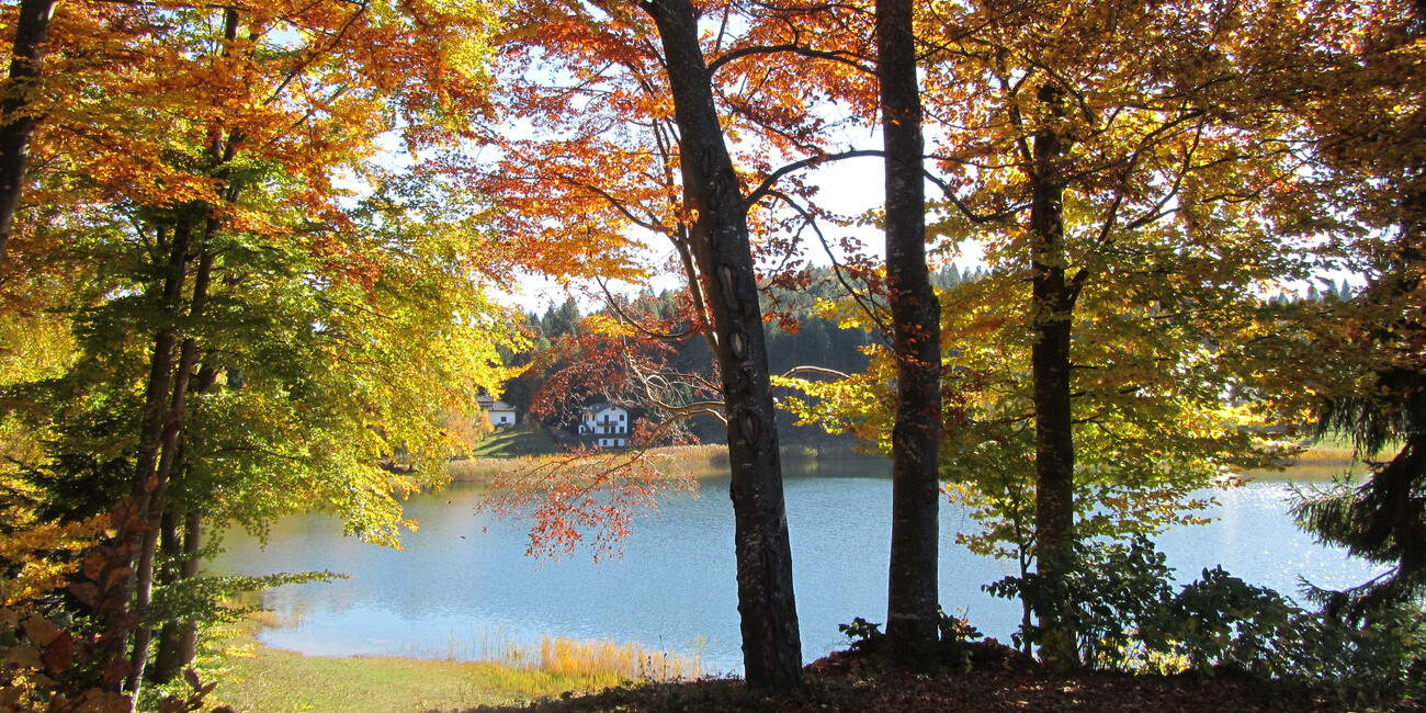 Santo-meer  #2 | © Lago Santo - APT Piné Cembra - ph. Annamaria Pascali
