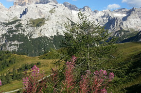 Dolomites of Brenta from Doss del Sabion | © APT Madonna di Campiglio, Pinzolo, Val Rendena