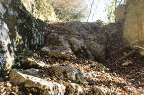 Un esempio del terreno sul percorso 409B Trail | © Garda Trentino 