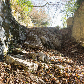 Un esempio del terreno sul percorso 409B Trail | © Garda Trentino 