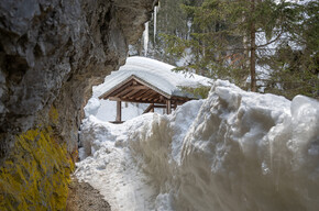 Pont del Pastin, snowshoeing route in Val Meledrio | © APT Valli di Sole, Peio e Rabbi
