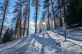 Vigo - Santa Giuliana ©Archivio APT Val di Fassa | © APT Val di Fassa