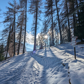 Vigo - Santa Giuliana ©Archivio APT Val di Fassa | © APT Val di Fassa
