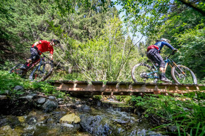 Rabbe Trail - Fassa Bike Park Canazei - ©Archivio APT Val di Fassa | © APT Val di Fassa