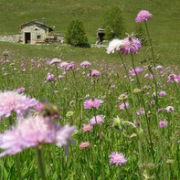 DAL KESERLE AL LANCIA - VISITROVERETO | © APT Rovereto Vallagarina Monte Baldo