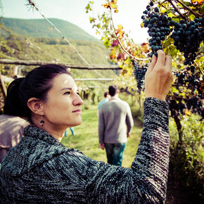 Tra i borghi del Teroldego