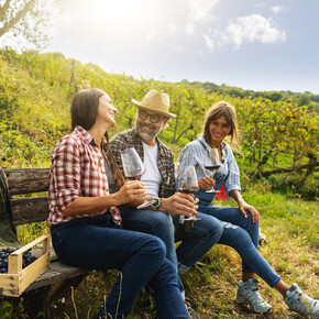 The Trentino of wine