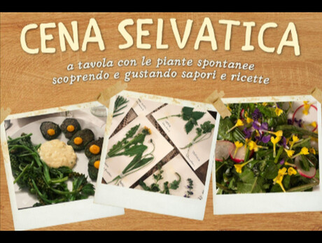 cena selvatica