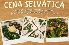 cena selvatica