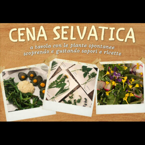 cena selvatica