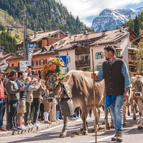 Puzzone PDO Festival in Moena