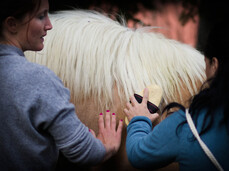 A CAVALLO: UN LEGAME DA VIVERE