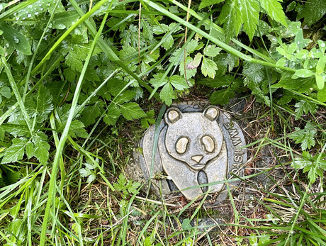 Mit der Natur gestalten