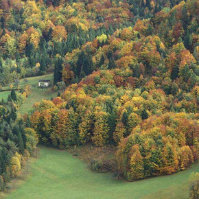 Festa del Cacciatore in Val di Sella