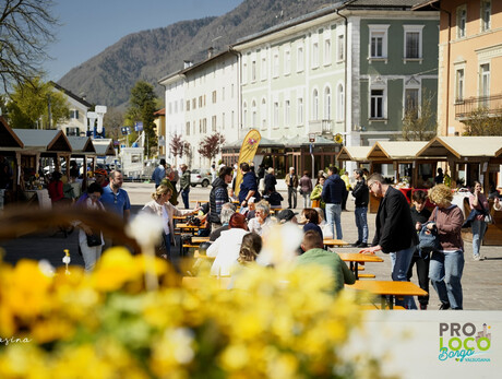 Festival delle api e del miele