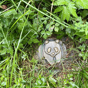 The Festival of the Sun