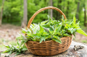 Primavera in Tesino - Scoprire e assaggiare i sapori della natura