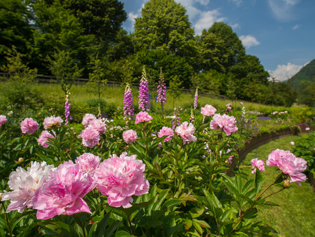 Visita culturale al Giardino d'Europa