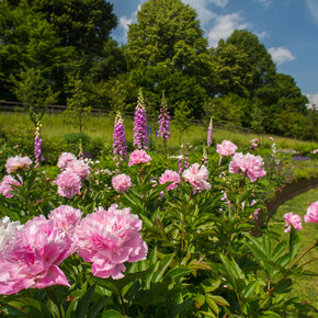 Cultural visit to the Garden of Europe