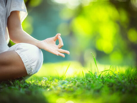 Vivi Tesino: Hatha Yoga