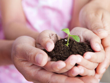 Vivi Tesino: L'orto dei bambini