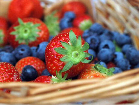 Vivi Tesino: Sapori e profumi del Tesino