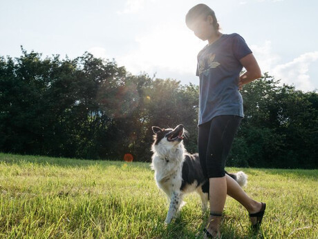  Dog trekking in natura 