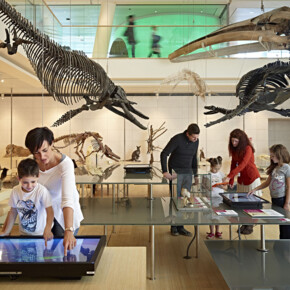 Muzea pro děti v Trentinu