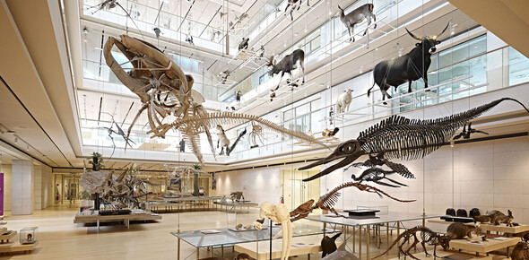 Trento, nenechte si ujít návštěvu známého Muzea přírodních věd MUSE