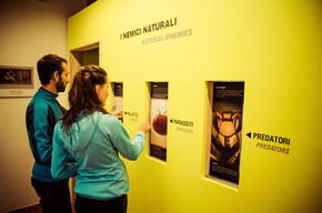 Bienenmuseum in der Mühle