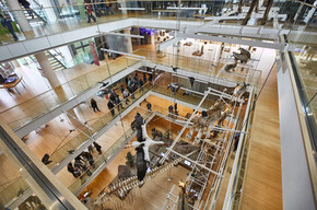 Trento and Monte Bondone