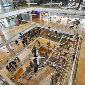 Trento and Monte Bondone