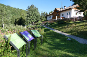 Alpine Botanical Garden, Viote del Monte Bondone