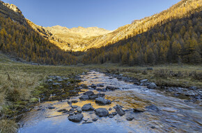 Val di Sole - Stelvio - Pra di Saent