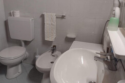 WhatsApp Image 2022-10-20 at 14.26.36