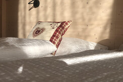 2023-11-08_08-28-20_077