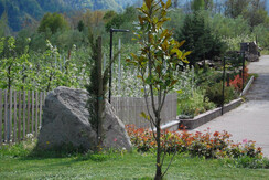 prime fioriture dall'agricampeggio