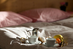 Hotel Panorama Panchià colazione in camera