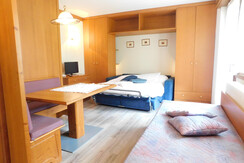 SKI Residence Monolocale