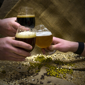 The world of Trentino beers