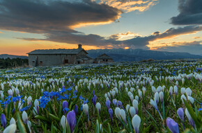 The Dolomites in Bloom: Five Ways to Enjoy Trentino in the Spring