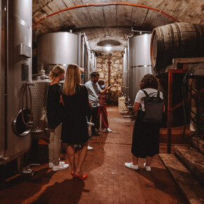 NEW WINE TOURISM PRODUCT LAUNCHES IN TRENTINO