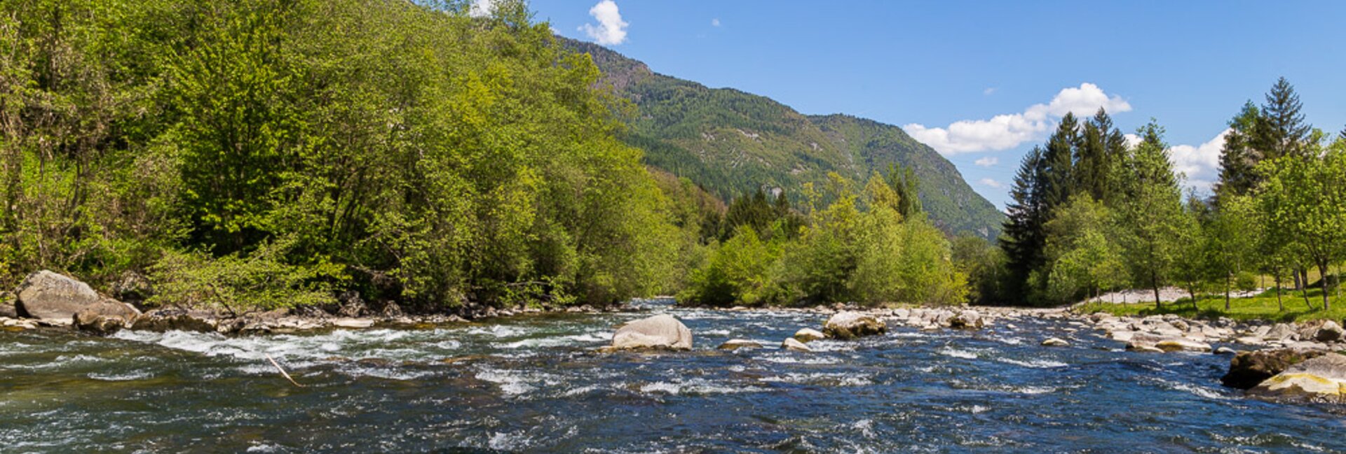 Network of Nature Reserves - Alto Noce | © Foto Archivio Apt Val di Sole