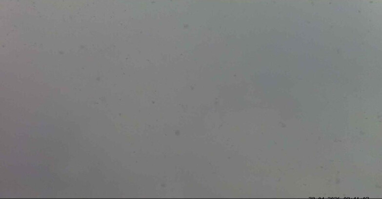 Webcam Passo San Pellegrino-Falcade  - Seggiovia Cima Uomo