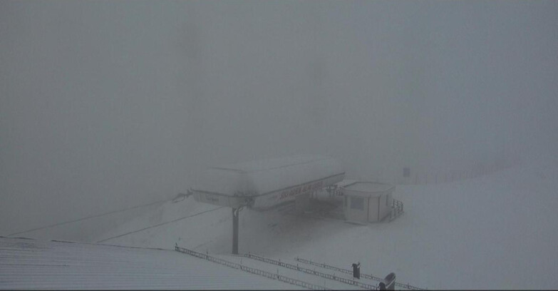 Webcam Moena-Alpe Lusia  - Alpe Lusia - Le cune