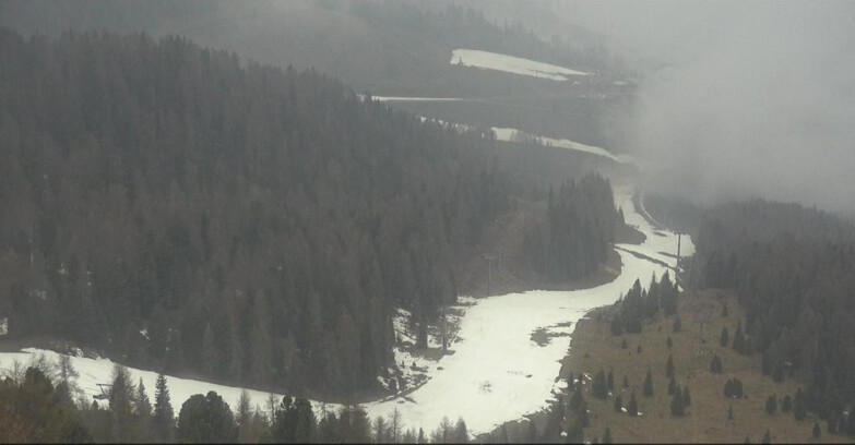 Webcam Moena-Alpe Lusia  - Pista Piavac