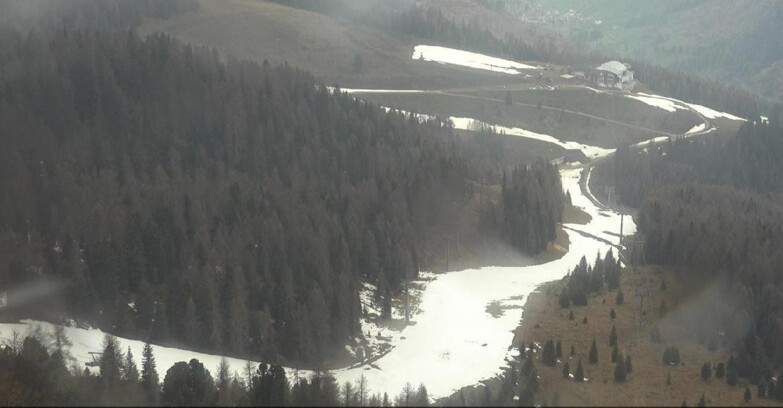 Webcam Moena-Alpe Lusia  - Pista Piavac