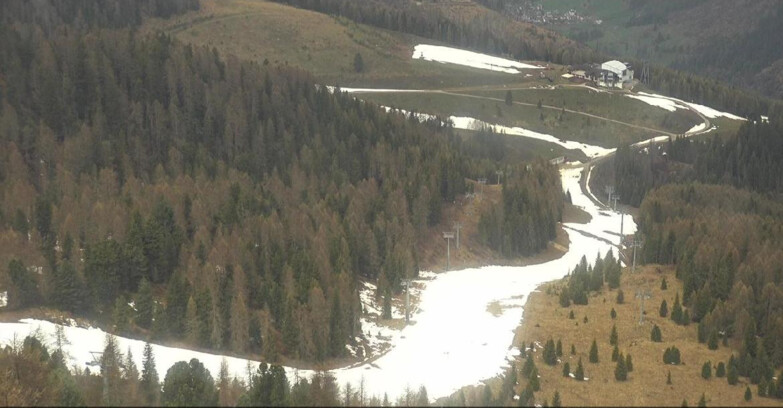 Webcam Moena-Alpe Lusia  - Pista Piavac