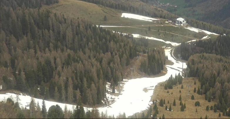 Webcam Moena-Alpe Lusia  - Pista Piavac